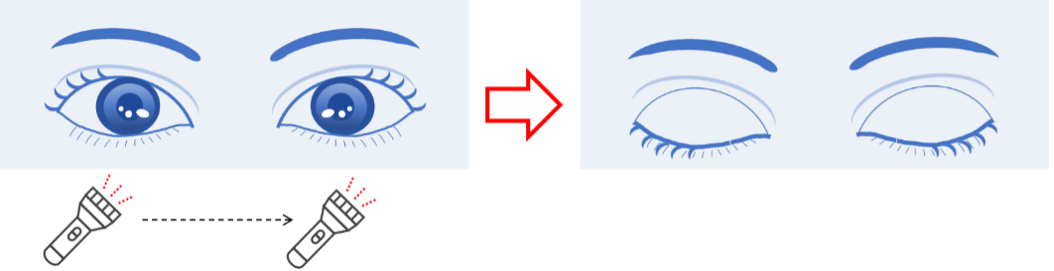 202503242341277923.Png